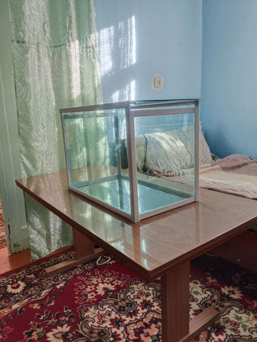 Здравствуйте! Продаю аквариум габариты 55 длина, 31 ширина, 36 глубина