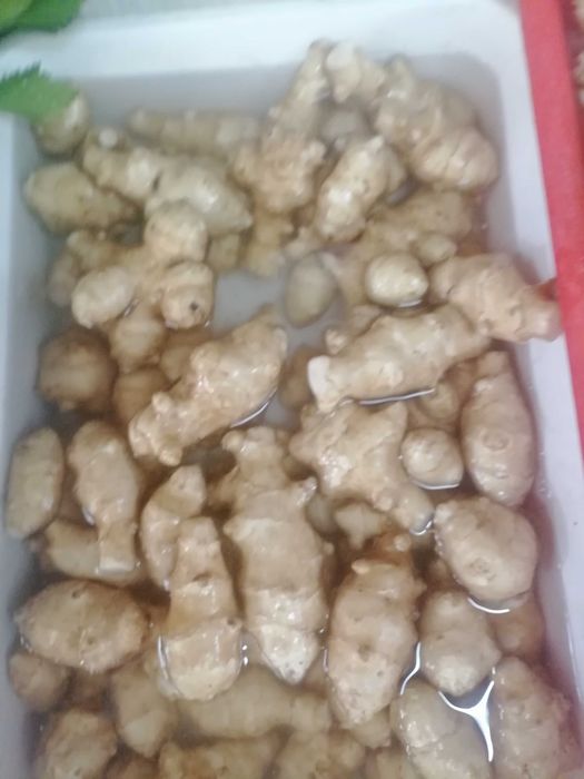 Земна ябълка гулия