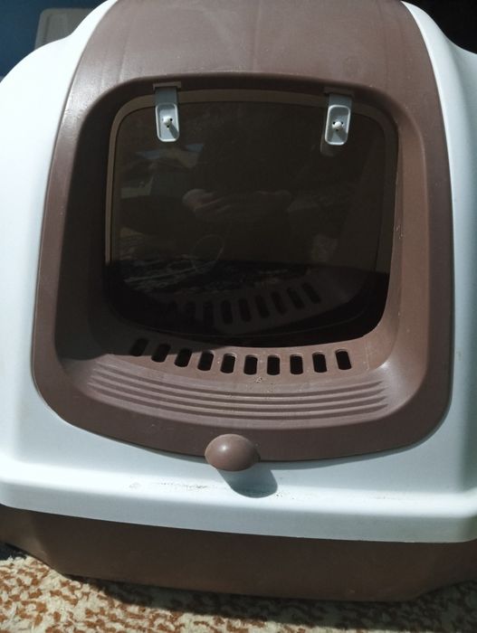 Mushuk paroda  1 yoshdan otgan sifatli