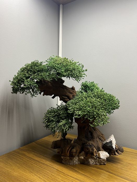 Искусственный бонсай