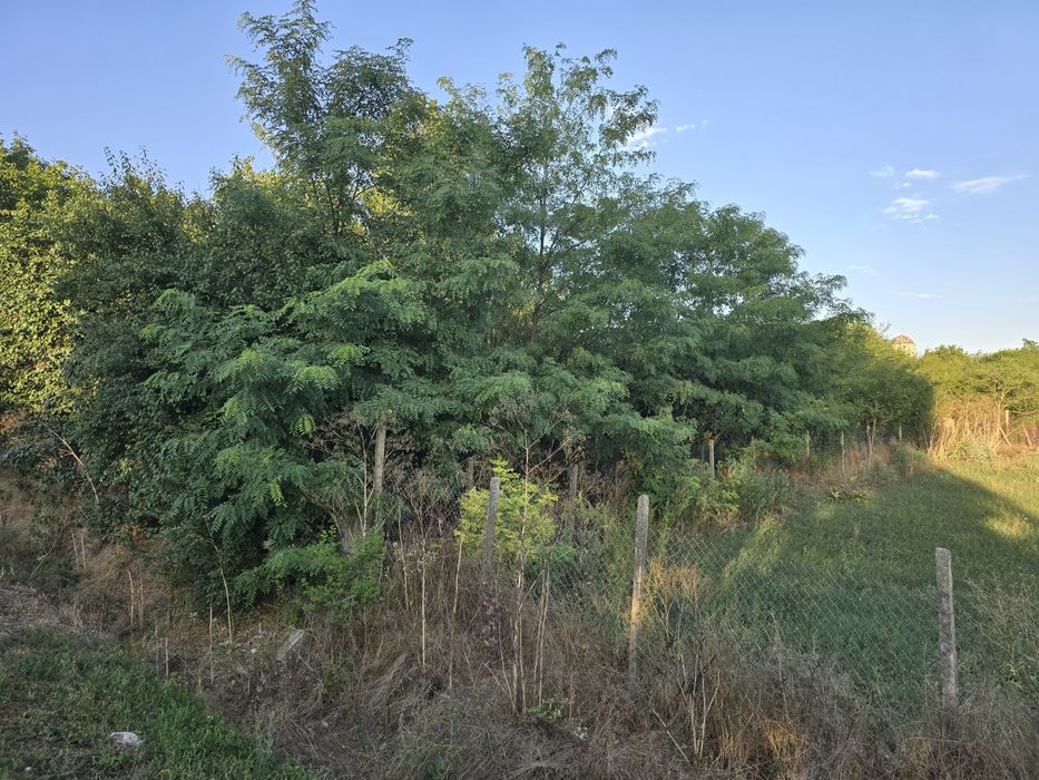 Продава се Парцел в Балчик - 1683 кв.м за 8 €/кв.м - Снимка #6