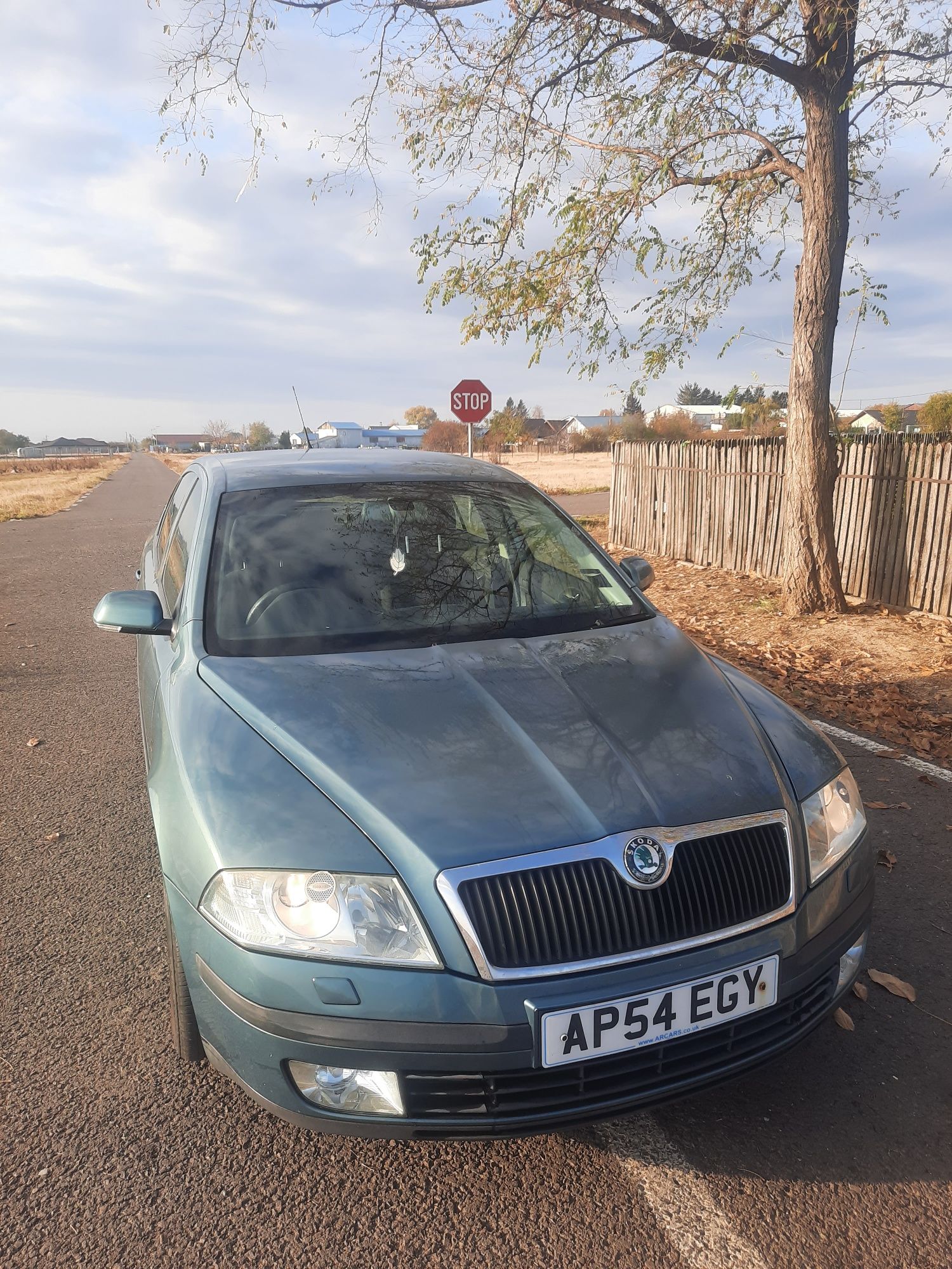 Dezmembrez Skoda Octavia 2