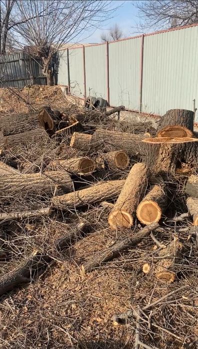Отдам дрова бесплатно