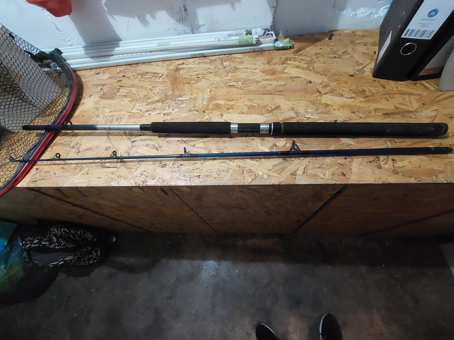 Lanseta sporting lines