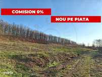 Teren Intravilan Topoloveni cu priveliste superba