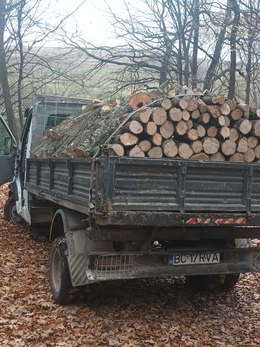 Lemne foc esență tare sau moale