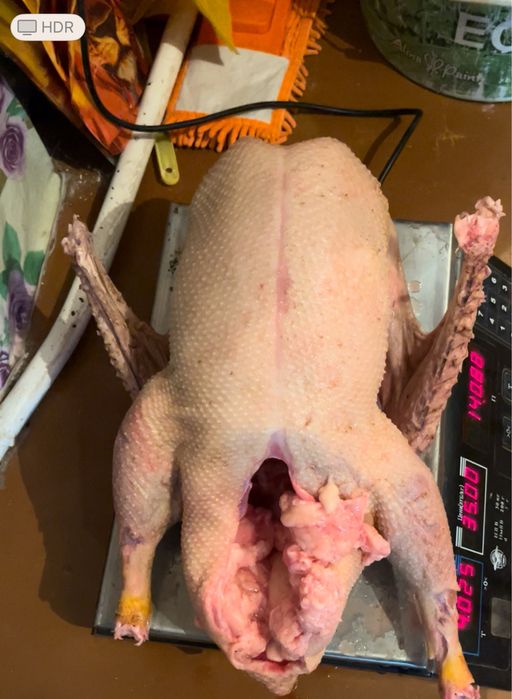 Қаз еті бар кг 3500 доставка бар