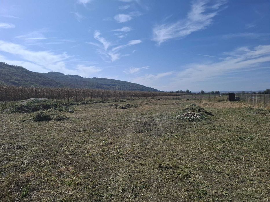 Vand teren in localitatea Livada,CJ, cu proiect casa!