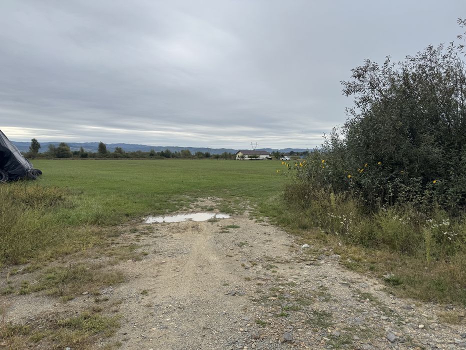 Teren intravilan 7.631 mp  Săcălășeni, str. Europa, utilități la drum