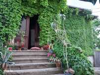 Casa boiereasca, 150 mp utili si 361 mp teren, 19.6 ml deschidere, zon
