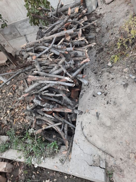 Дрова для дачи,бани и поочее