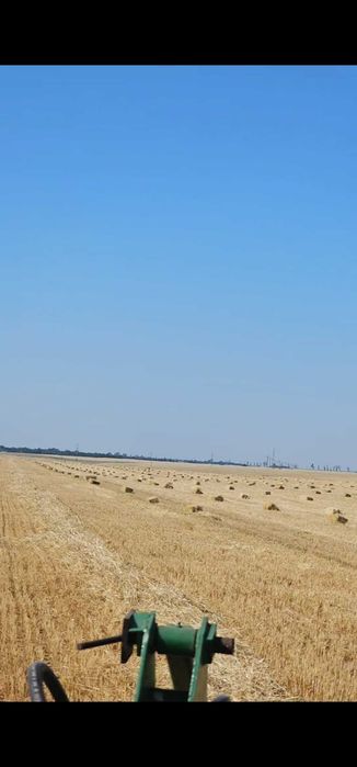 Vand baloti mici si rotunzi