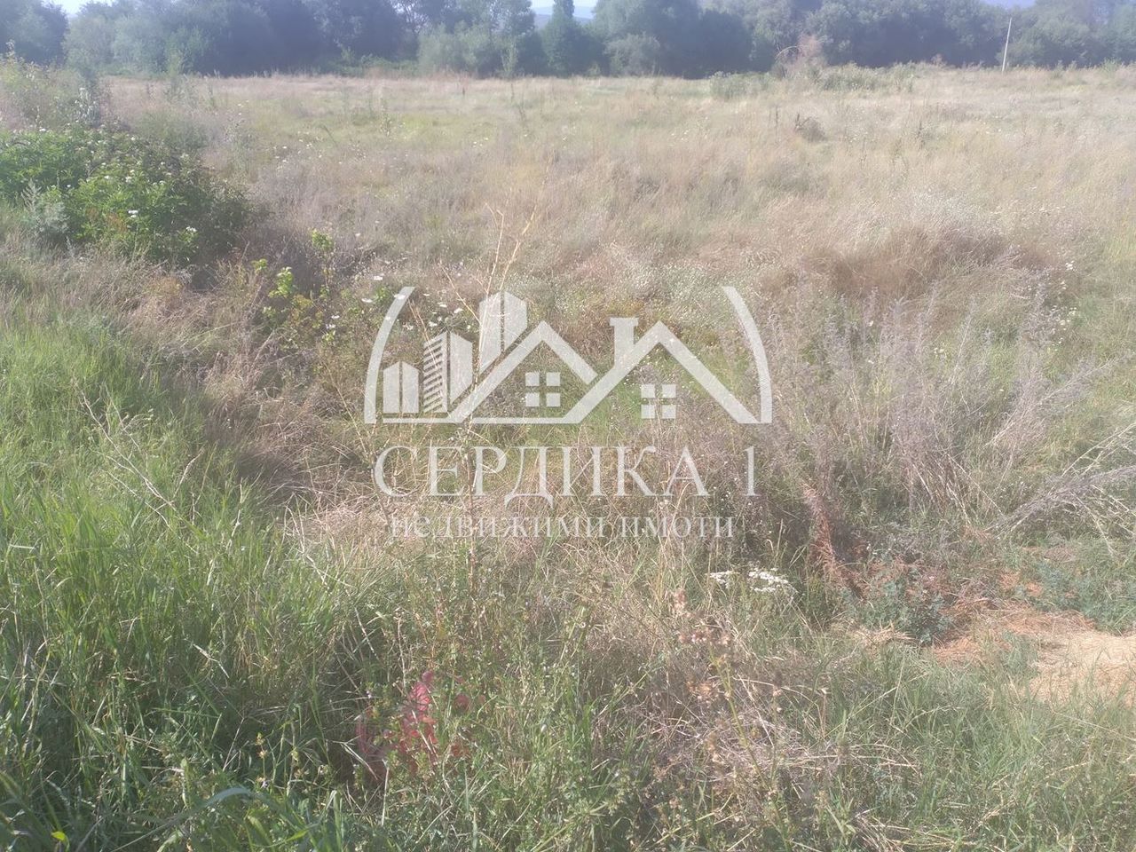 Продава се Парцел в с. Копиловци, Област Кюстендил - 8712 кв.м за 18 €/кв.м - Снимка #1