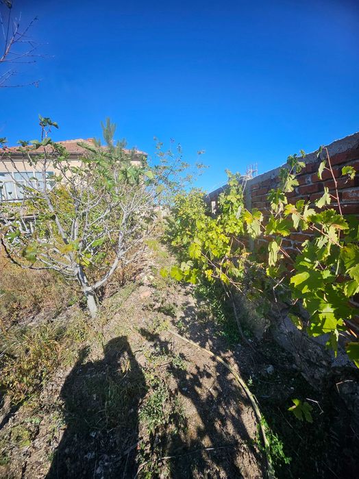 Продава се Къща в с. Йерусалимово, Област Хасково - 100 кв.м за 150 €/кв.м - Снимка #11