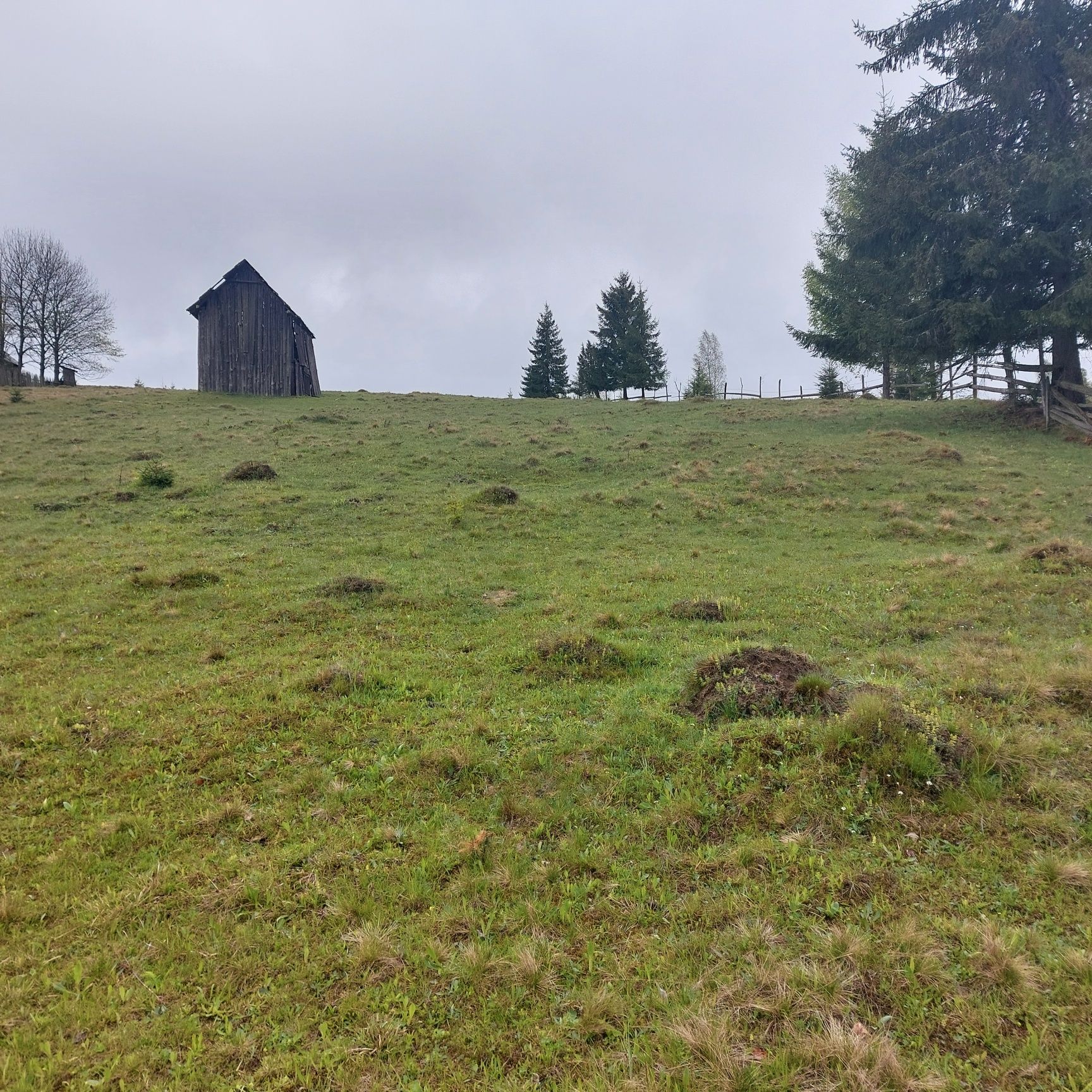 Vand teren in Bucovina!! 2.5 ha din care 7000 m2 intravilan
