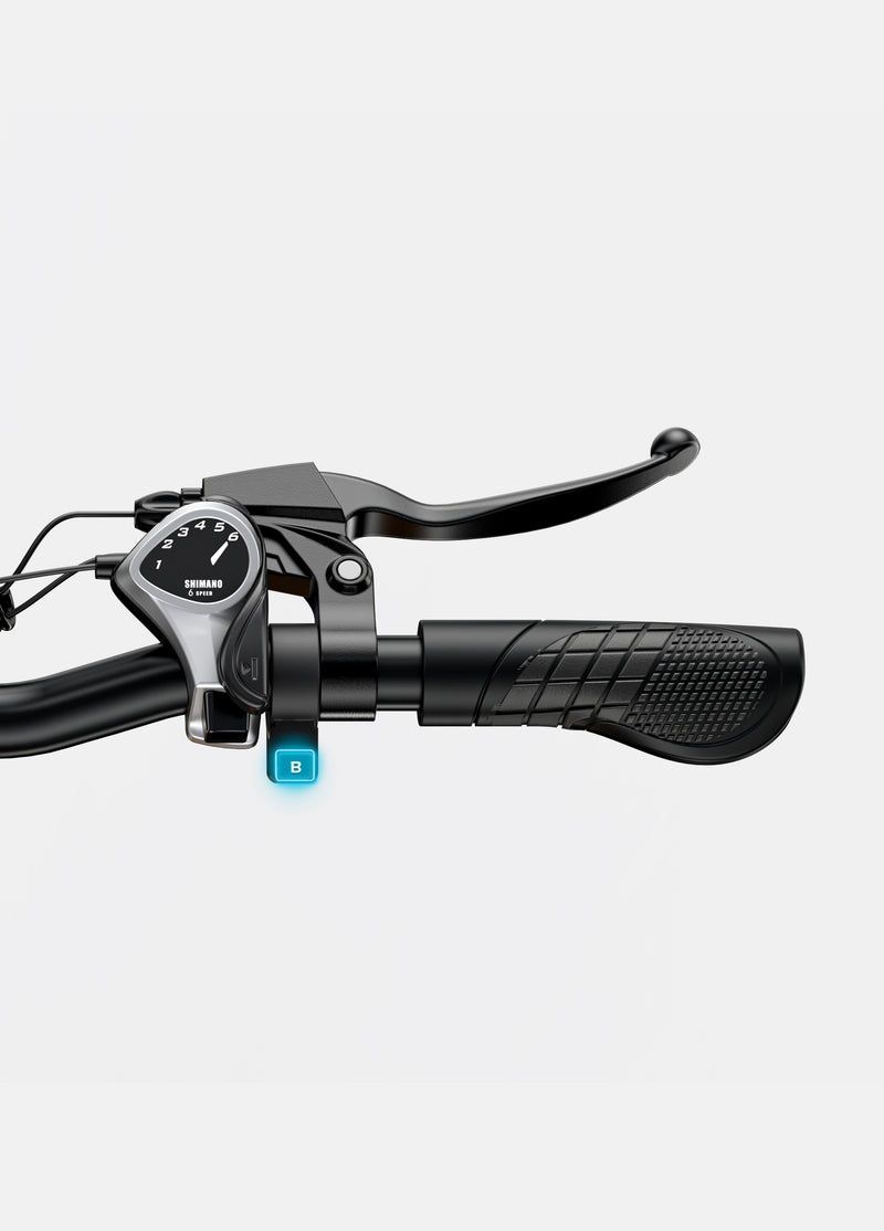 Bicicletă electrică ENGWE