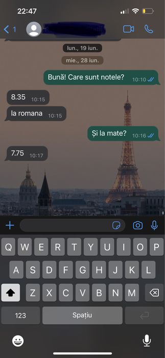 Limba română - meditații