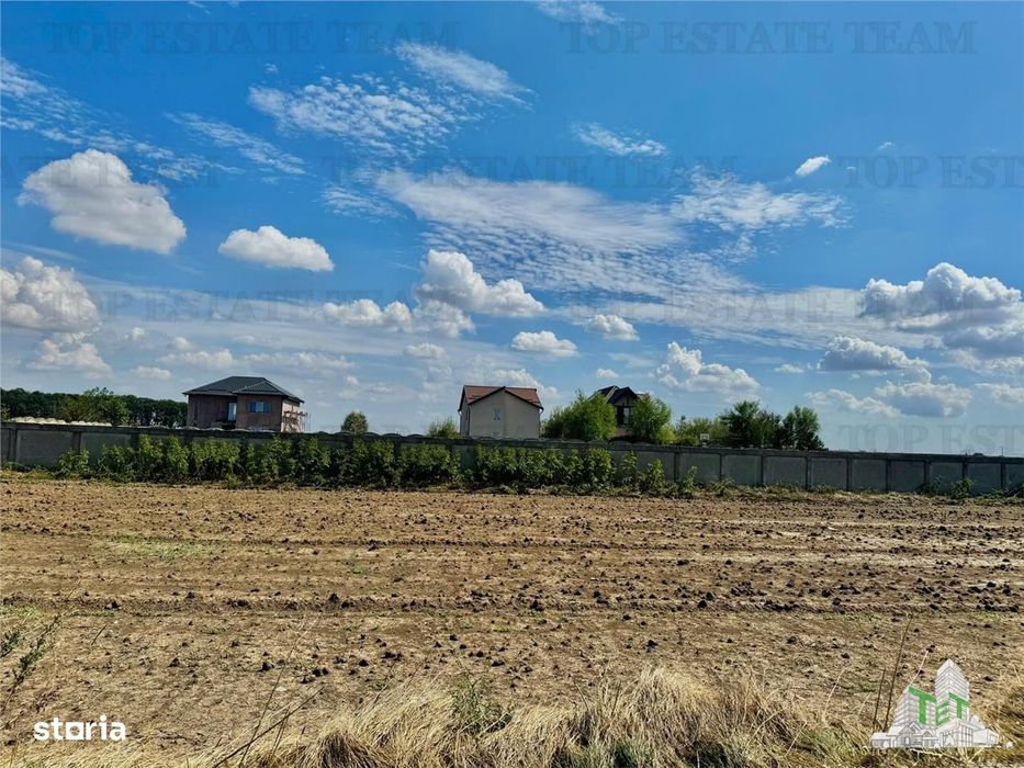 Teren de vanzare lotizat la padure cu utilitati in Frumusani  Calarasi