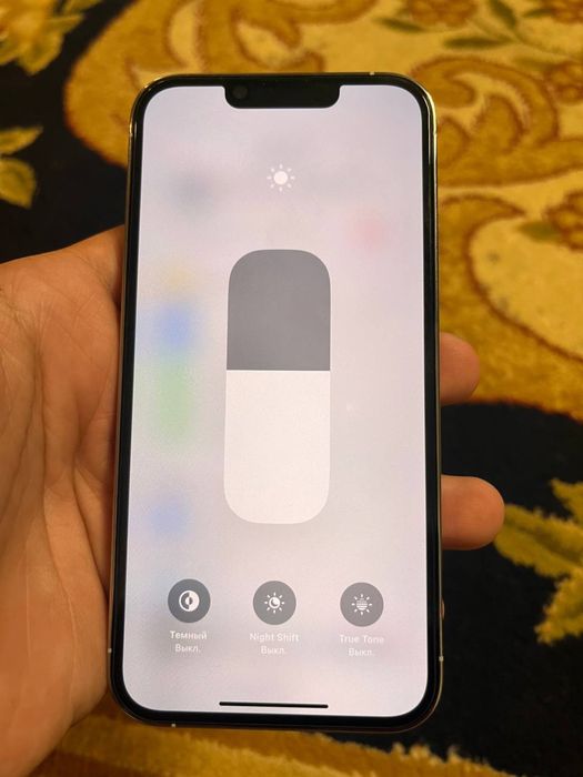 Iphone 13 pro silver