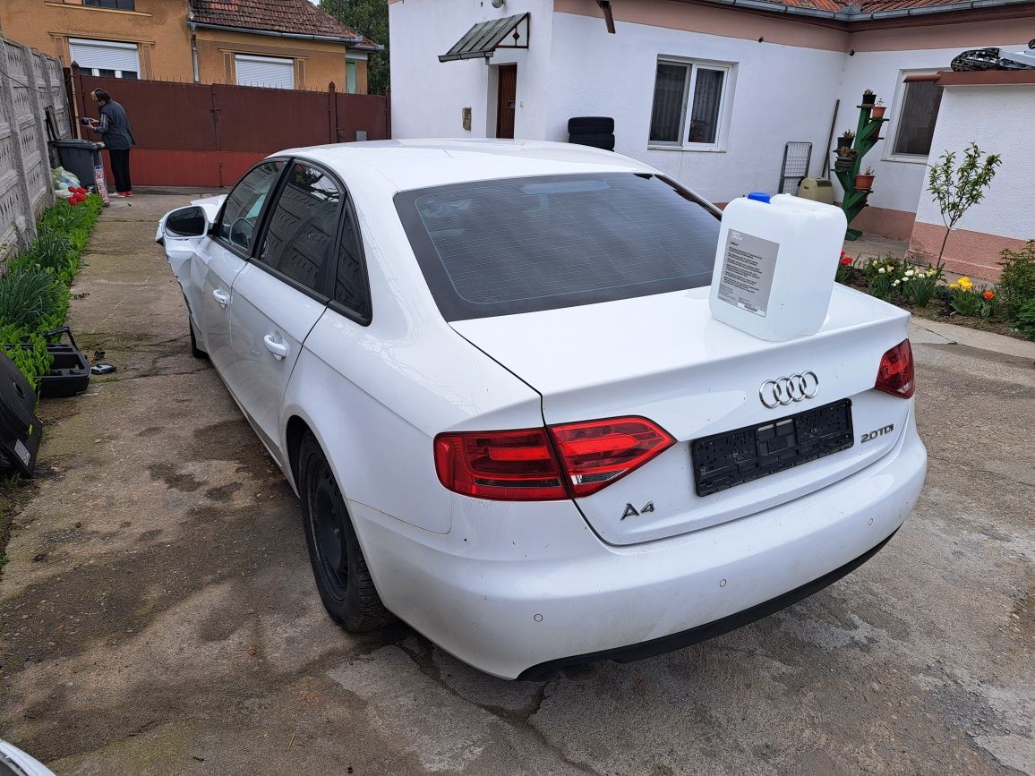 Audi a4 b8 2.0 tdi (avariat,lovit)