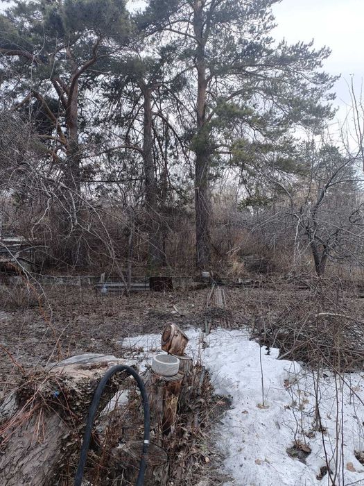 Продам дачу в обществе Мичуринец