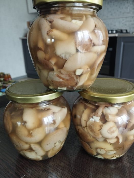 Продам грибы , маслята , лисички ,грузди .