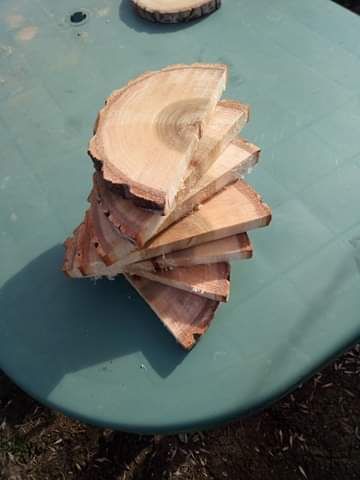 Rondele din lemn masiv mai multe esențe