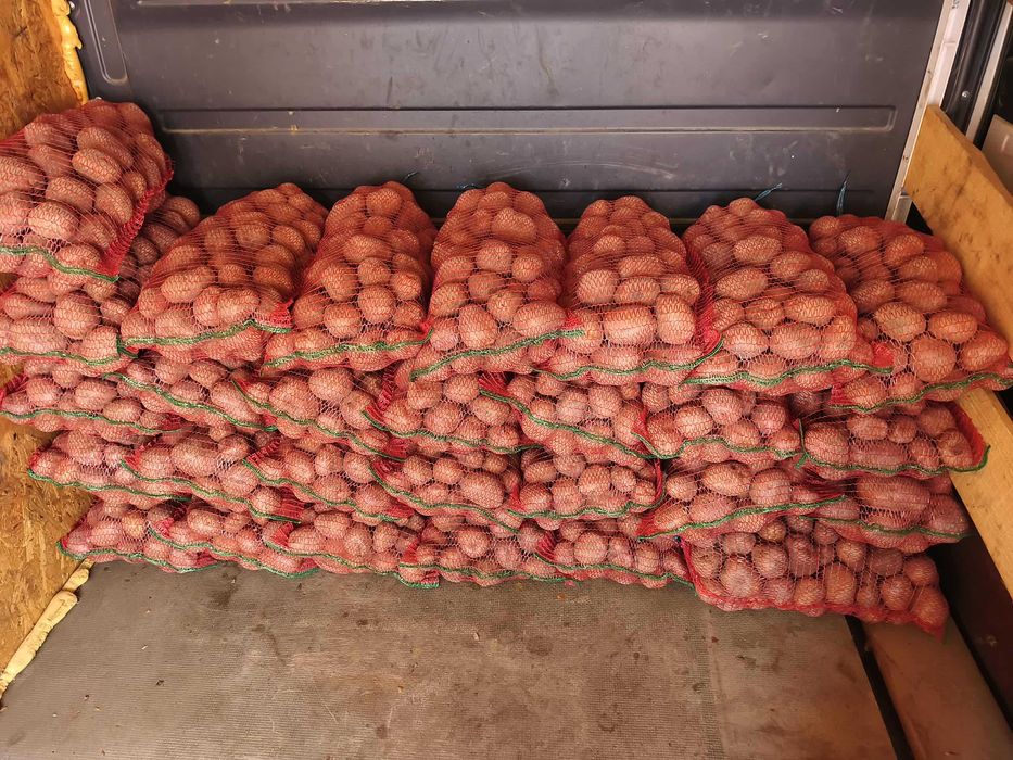 Vând cartofi consum