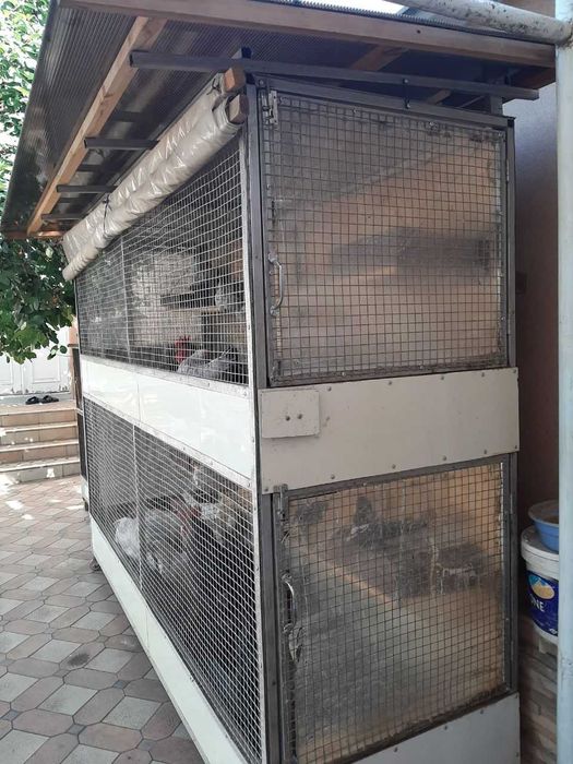 Tovuq qafasi  SOTILADI. srochnaa