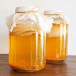 Kombucha SCOBY (ciuperca) + lichid starter + ghid utilizare cu imagini