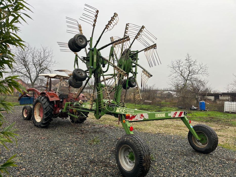 Grebla paianjen dubla Krone