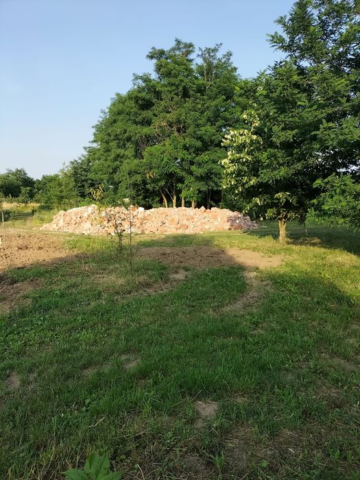 Vand doua iade/capre din 2024