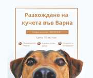 Разхождане на кучета във Варна – 10 лв./час