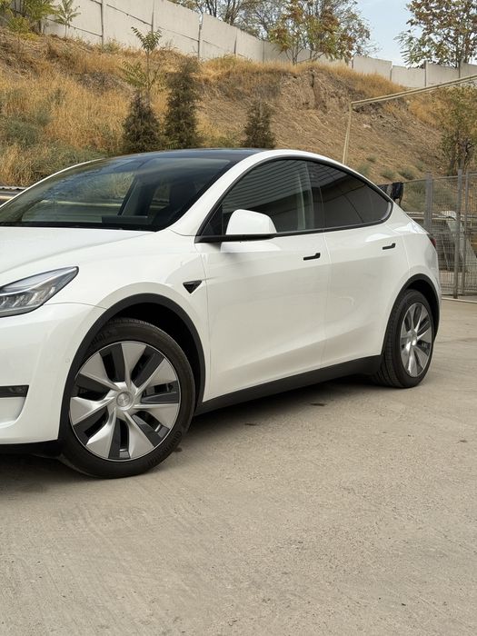 Tesla Model Y 2021 Dual motor
