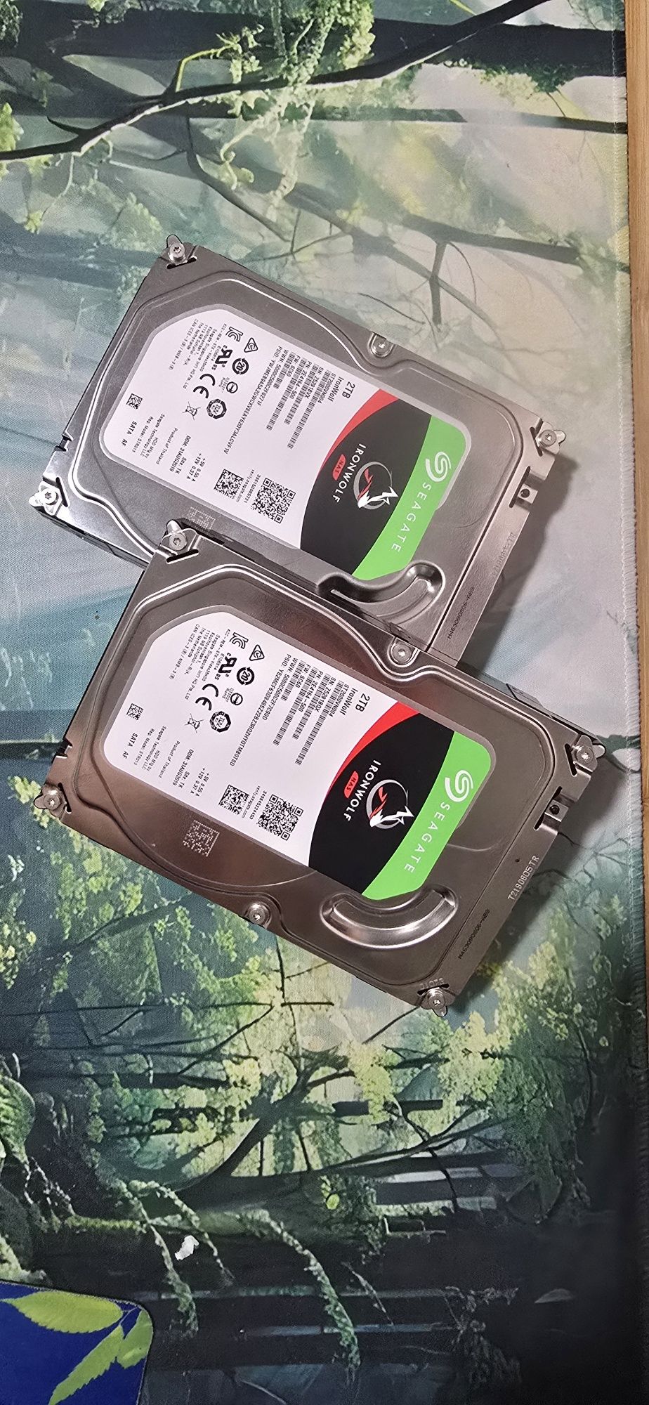 HDD 2x2TB Seagate Iron Wolf