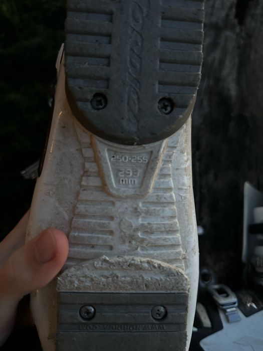 Clapari Nordica Olympia