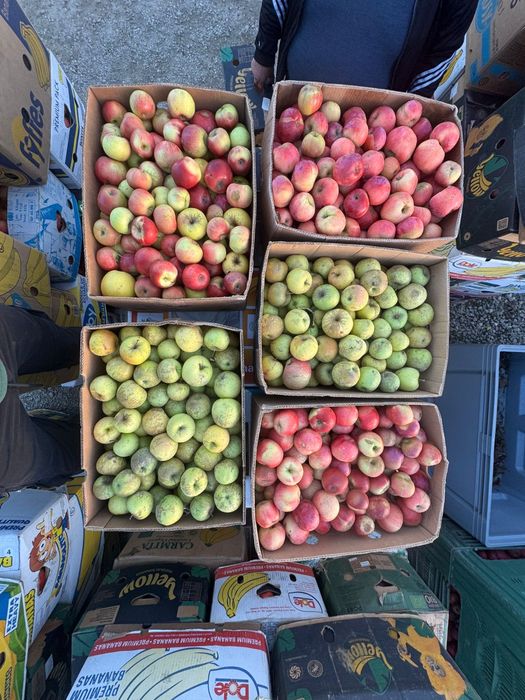 Vand Mere Pentru Consum ! Pot asigura si transport!