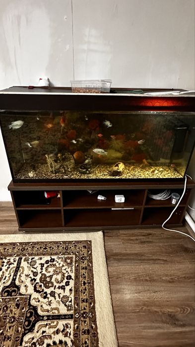 Большок Аквариум 240 литров