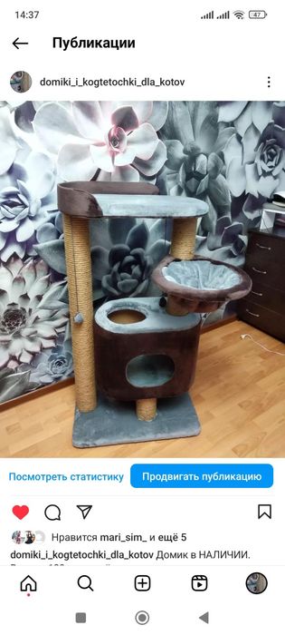 Комплекс для кошек