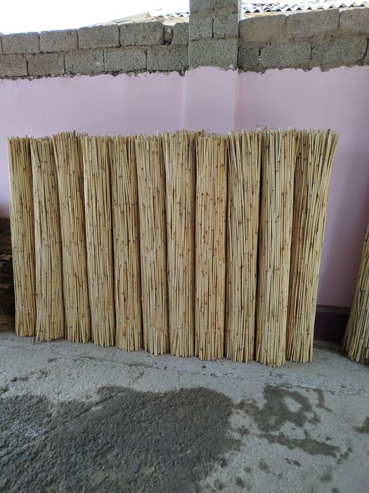 Камышлар бор хар хил турда