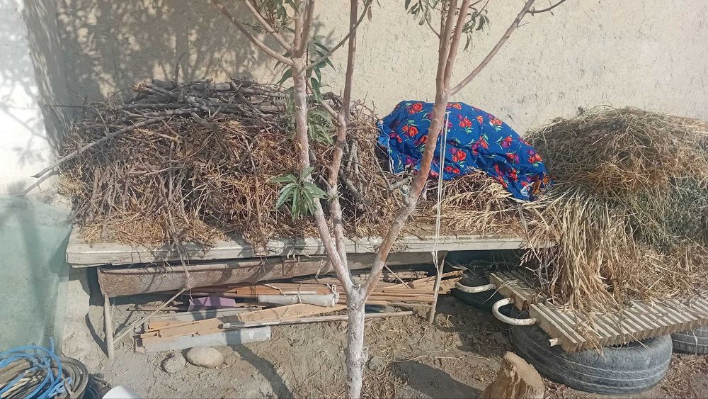 Утин, дрова, o'tin