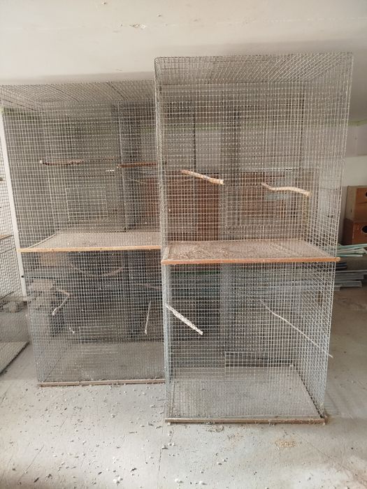 Кушлар учун валерлар клеткалар сотилади