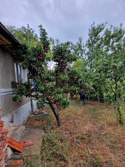 Vand casă batraneasca cu teren