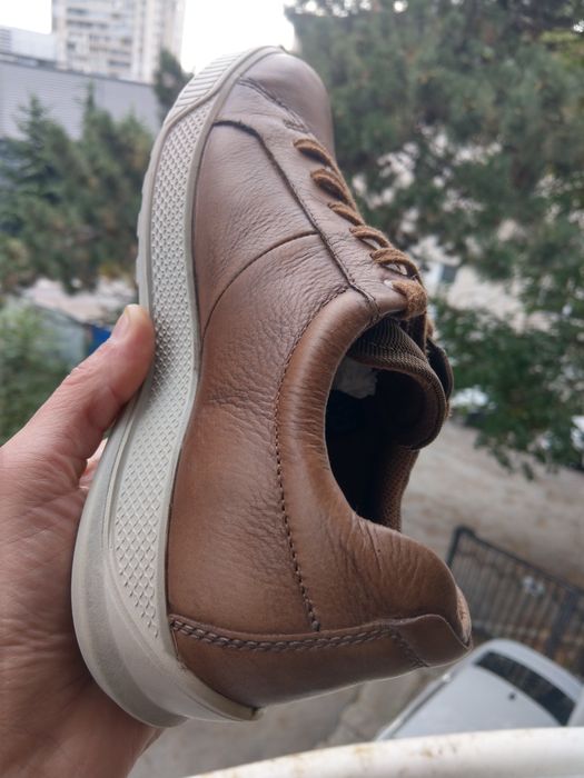 Ecco 41нм. 26,0см.