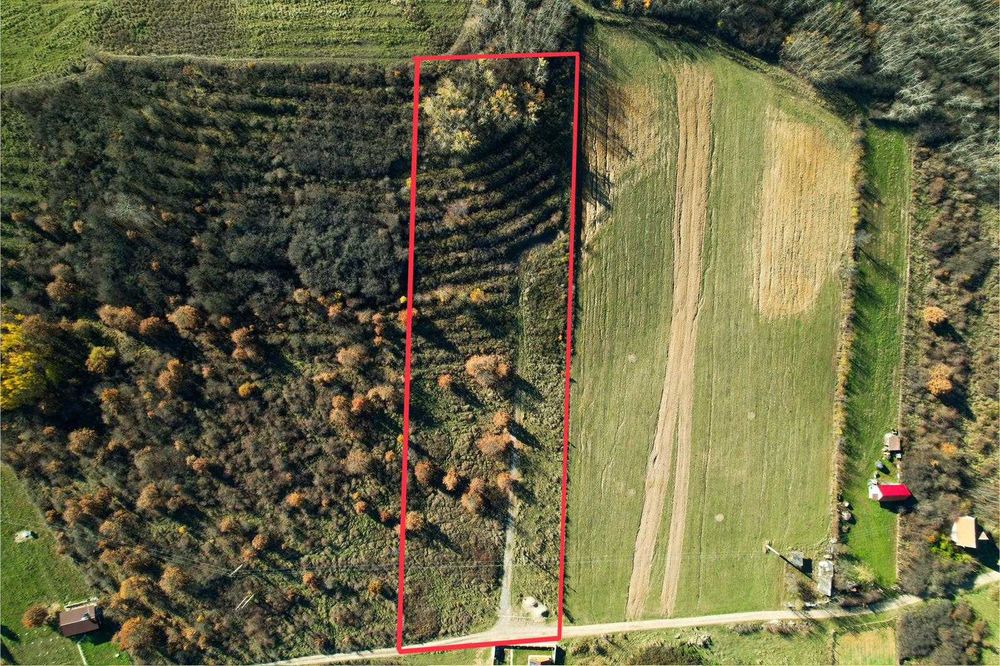 Teren 7744 mp la Coada Noului Lac de Agrement Băile Felix