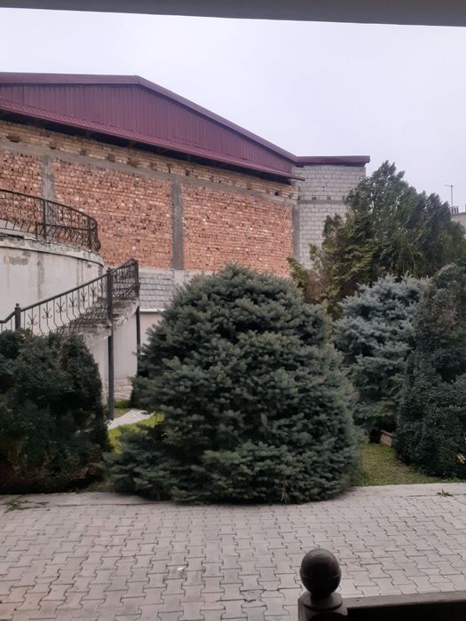 Чилонзор аренда Участок срочно 4 ком