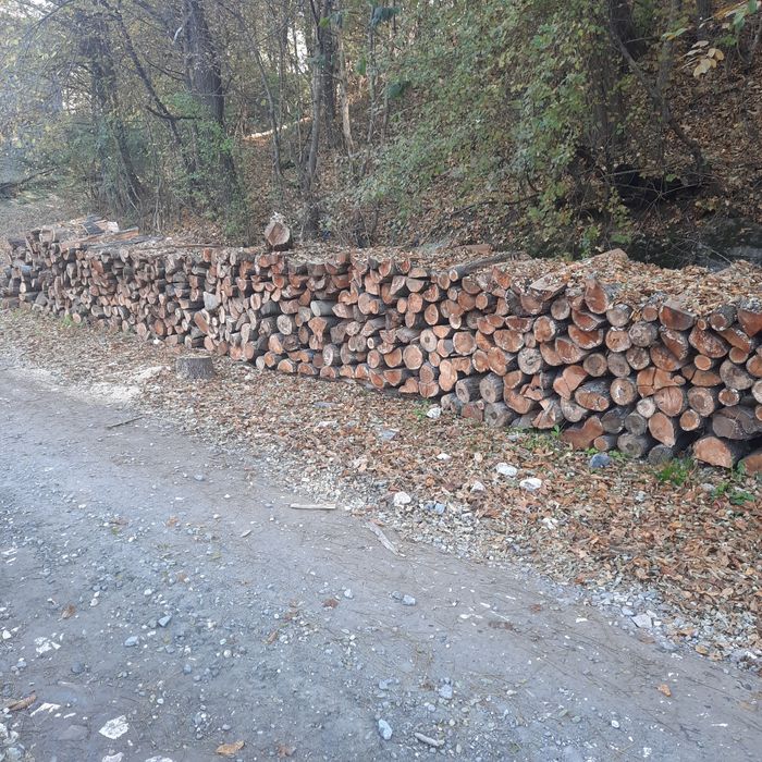 Lemne de foc!!!Super preț,uscate!!!
