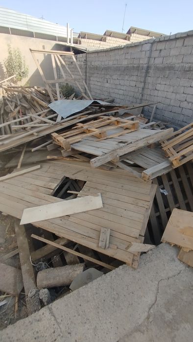 Tosinla sotiladi 5 metirgacha xarxil razmerda chornigayam bor