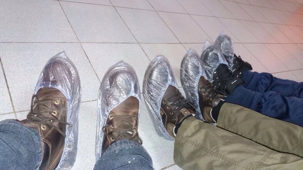 Бахилы базила медицинская