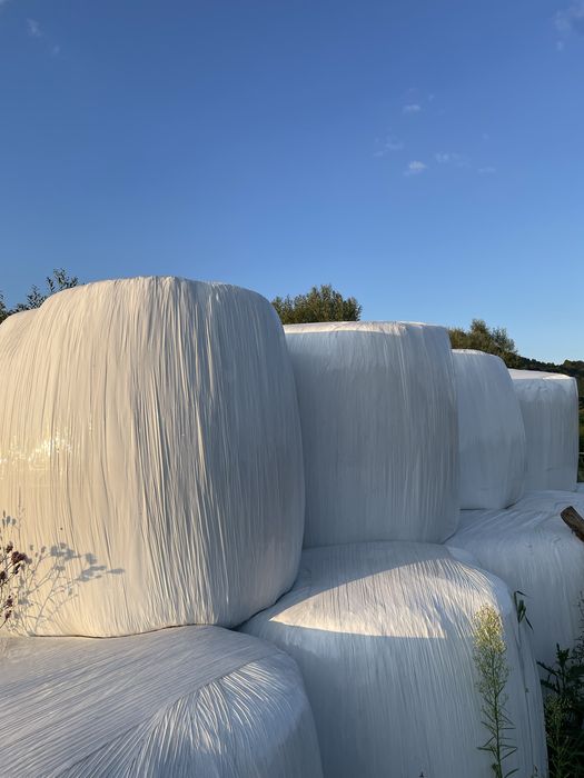 Baloti de lucerna infoliati